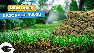 Gazonul rulou  Pregătirea terenului și montarea în grădină 🏡 [upl. by Muhcan]