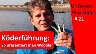 Köderführung für Wobbler [upl. by Baese]