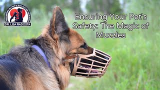 The magic of muzzles Ensuring your pets safety [upl. by Ardna]