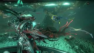 Warframe New Fish in Duviri Paradox NamaesSeonnXiran [upl. by Gimpel657]