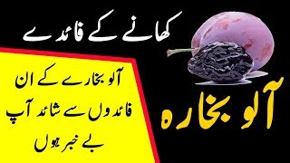 Prune Alu Bukhare Ke Faide In Urdu [upl. by Lemrahc]