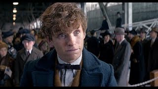 ANIMALI FANTASTICI E DOVE TROVARLI  NEWT SCAMANDER ITA [upl. by Ytrebil]