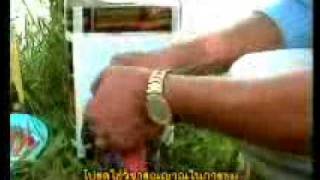 Testing Consecrated Thai Amulets [upl. by Enomis502]