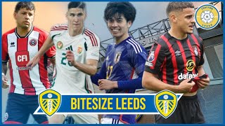 BITESIZE LEEDS‼️ Tanaka CLOSE TO SIGNING👀 Hamer for £18 MILLION⁉️ Sallai ON RADAR‼️ Aarons LINKED🗞 [upl. by Ferri304]