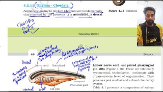 Animal Kingdom class 11th NCERT Biology Part 4  Phylum Chordata [upl. by Faubert]