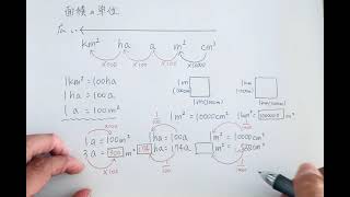 【算数】面積の単位の覚え方と単位変換のやり方【TCCクラブ】 [upl. by Rett]