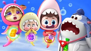 Its Not Food  Safety Rules  Baby Shark  Nursery Rhymes amp Kids Songs  BabyBus [upl. by Akemeuwkuhc411]