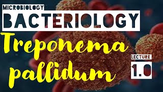 Treponema PallidumLecture 1MorphologyEpidemiology and TransmissionPathogenesis [upl. by Neraj202]