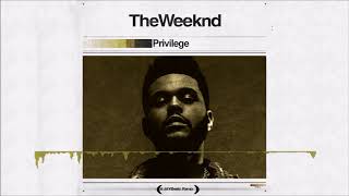 The Weeknd  Privilege A JAYBeatz Remix HVLM [upl. by Yeznil144]