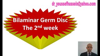 8 The 2nd week  Bilaminar germ disc [upl. by Bartholemy427]