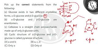 Pick up the correct statements from the following\na Glucose exists in two different crystall [upl. by Suryc158]