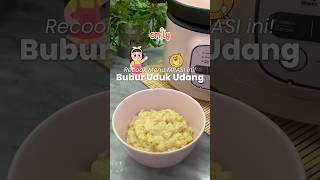 RESEP MPASI Bubur Uduk Udang  Slow Cooker Emily [upl. by Camm]