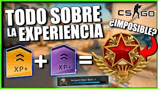 TODO SOBRE LA XP en CSGO  ¿Cómo subir rápido de nivel  Medallas de servicio [upl. by Mariquilla]