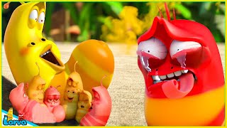 LARVA SEASON 1 EPISODE FULL CRY 🍟 NEST VERSION LARVA  MINI SERIES FROM ANIMATION LARVA [upl. by Nolana421]