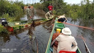 ថ្ងៃទី៣០ ខែសីហា ឆ្នាំ២០២៤ សកម្មភាពខ្លះៗរបស់បងៗជលផលបង្ក្រាបបទល្មើសនេសាទខុសច្បាប់ស្បៃមុង [upl. by Ainuj]