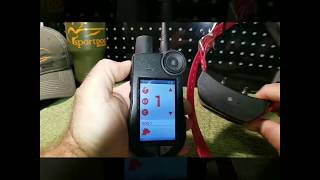 SportDOG BRAND TEK 20 Initial Setup nitelifekennel SportDOG [upl. by Rosenkranz]