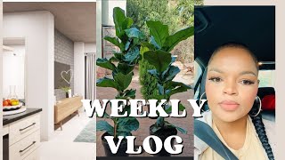 VLOGApartment Viewing 100 Subbies 🎉🎉 Plant Shopping [upl. by Anigar251]