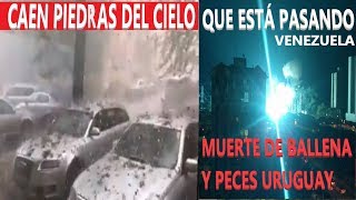 Última Hora Lluvia de Piedras Rumanía Animales Sin vida en Playas  Reporte Sísmico [upl. by Cris]