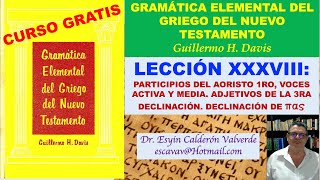 LECCIÓN 38C GRIEGO KOINÉ G DAVIS PARTICIPIOS AORISTO ADJETIVOS 3 DECL EJERC 328 4 A 7 [upl. by Leifeste551]