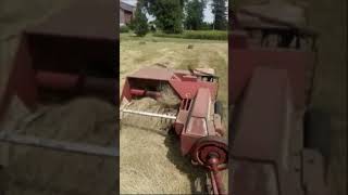 IH Baler Stomping Through Heavy Hay farmall806 IHbaler [upl. by Harbert]