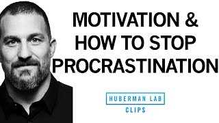 How to Stop Procrastination amp Increase Motivation  Dr Andrew Huberman [upl. by Pettit535]