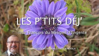 1326  Les Ptits déj spirituels  Rends un mon cœur  Psaume 8611 [upl. by Kwasi]