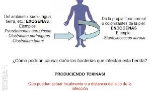 Patogenicidad Bacteriana II [upl. by Benedikta]