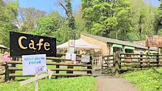 Nant Mill Coedpoeth WREXHAM [upl. by Chariot]