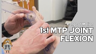 ROM Metatarsophalangeal MTP Joint I Flexion Active amp Passive Range of Motion [upl. by Leodora]