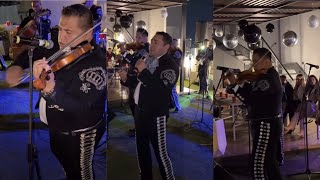 Mariachi Corona  El gustito 🎻🔥 ALEGRIA [upl. by Mussman]