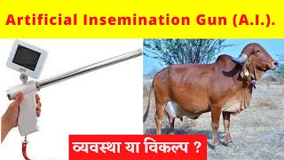 AI  Artificial insemination benefits or side effect  कृत्रिम गर्भाधान फ़ायदा या नुकशान [upl. by Emirej]