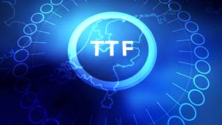 TTF the Dutch success in European gas trade [upl. by Nymsaj]