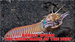 Bobbit wormYes hes still in there 9 freaks come out at night [upl. by Eryt963]