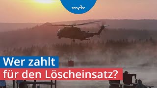 Bleibt Wernigerode auf den Kosten für den BrockenWaldbrand sitzen  MDR SACHSENANHALT HEUTE  MDR [upl. by Irehj]