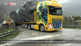 TG VICENZA  21112019  ARRIVATO IN PIAZZA SAN PIETRO LALBERO DI NATALE DEL PAPA [upl. by Ardnait]