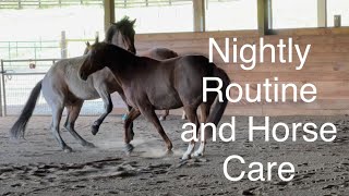 Horse Owner Nightly Routine Springtime Farm Chores Feeding Horses [upl. by Desma811]