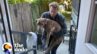 17YearOld Dog Wakes Her Foster Dad Up For Walks Every Morning  The Dodo Foster Diaries [upl. by Nerahs]