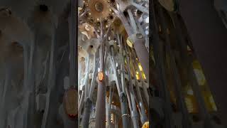 Inside Sagrada Familia in Barcelona Spain [upl. by Assetak]