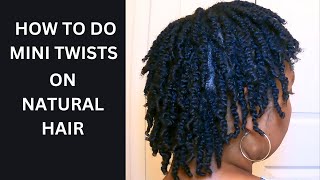 How to do Mini Twists on Natural Hair  Protective Style  amp GRWM for my birthday [upl. by Athena470]