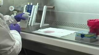 Cleaning Up a Spill Biosafety Cabinet Biosafety Level 3 [upl. by Nyleuqaj858]