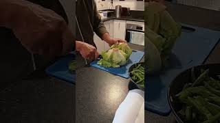 cutting litus leaves in half 0800 4524 newzealand trendingshort viralvideo shortvideo [upl. by Petite]