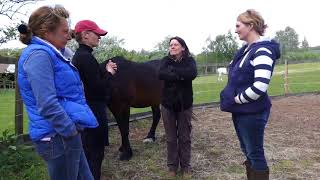 EAQ Introduction to Equine Assisted Learning [upl. by Enida62]