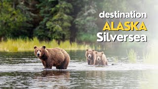 Croisières Silversea en Alaska  un Rêve pour les Passionnés des Grands Espaces [upl. by Draneb]