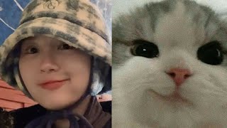 siyeon giving cat energy 🐱 고양이 이시연 [upl. by Marcellus]