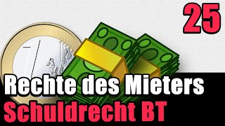 Rechte des Mieters bei Mangel  Mietvertragsrecht  Schuldrecht BT 25 [upl. by Kcirdnekal]