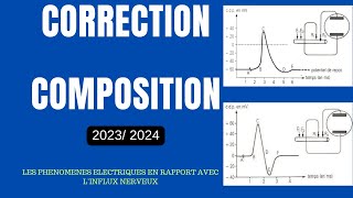 Correction Composition Du Premier Semestre SVT [upl. by Helbonna]