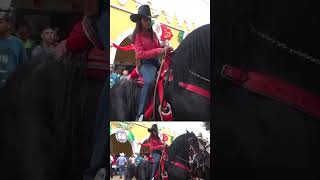 HERMOSO Caballo Negro Bailando En CABALGATA telepaisashorts [upl. by Eiaj410]