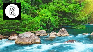 Relaxing Nature Sounds  Water Sound 24 Hours Gentle River amp Stream [upl. by Ynnhoj458]