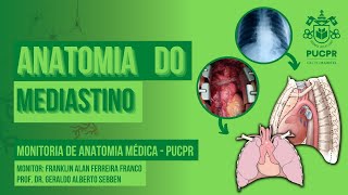 Mediastino  Monitoria de Anatomia Médica PUCPR [upl. by Battista234]