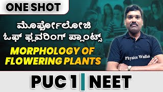 MORPHOLOGY OF FLOWERING PLANTS in 1 shot  All Concepts amp PYQs Covered  Class 11  NEET [upl. by Lavicrep369]